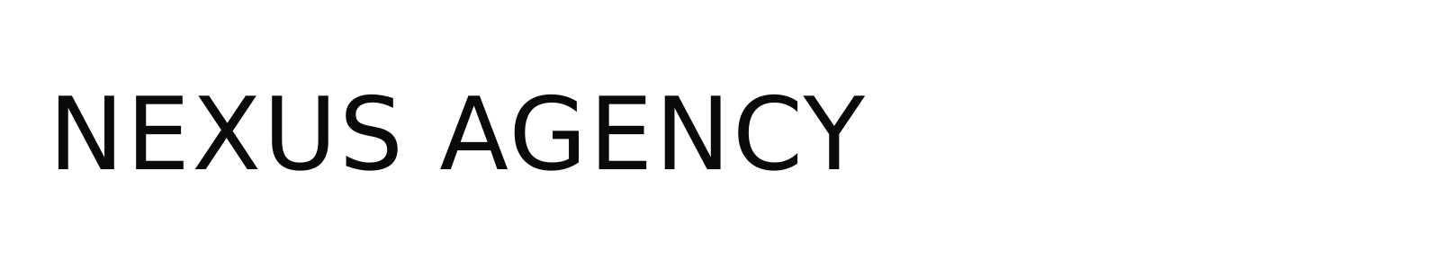 NEXUS AGENCY LLC